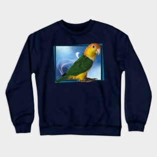 caique Crewneck Sweatshirt